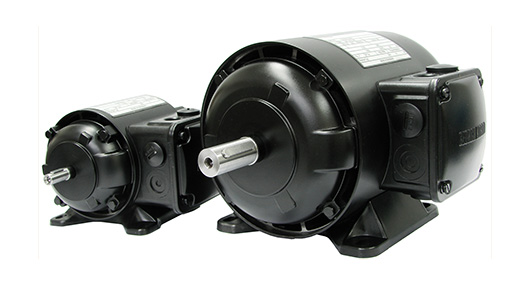 AC Brake Motors